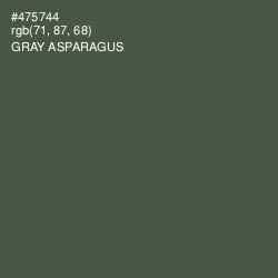 #475744 - Gray Asparagus Color Image